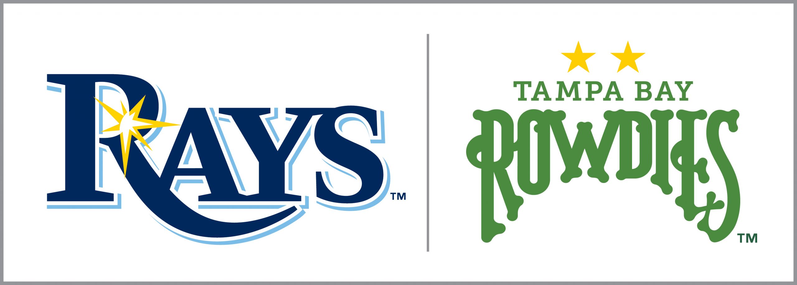 Tampa Bay Rays - Logo History 